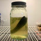 Image for article titled Last Pickle Delighted To Finally Have Whole Jar To Self